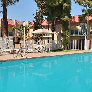 Vacation Inn Phoenix